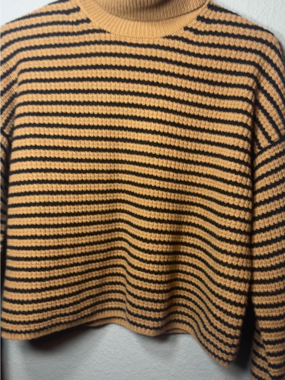 Madewell Mustard & Black Striped Turtleneck Sweater